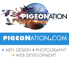 PIGEONATION2